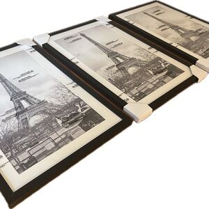 Black Plastic Frames w/ White Mat (3)